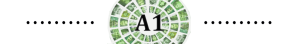 A1